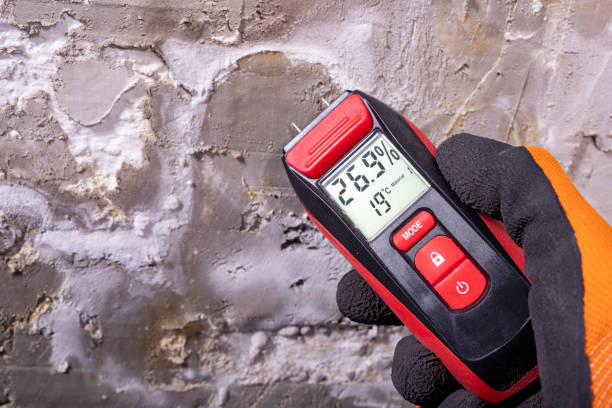 Best Attic Mold Removal  in Gordon, PA