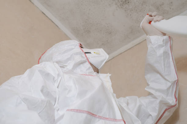 Best Certified Mold Removal  in Gordon, PA